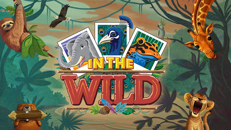 VBS - In The Wild